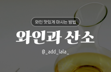 Thumbnail_와인 맛있게 마시는 방법_와인과 산소_